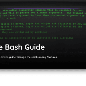 The Bash Guide